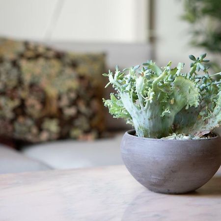 Serragli Loft By Mmega Floransa Dış mekan fotoğraf